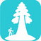 Big Tree Seekers