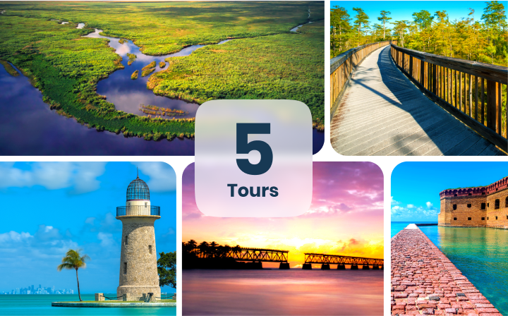 Florida Bundle