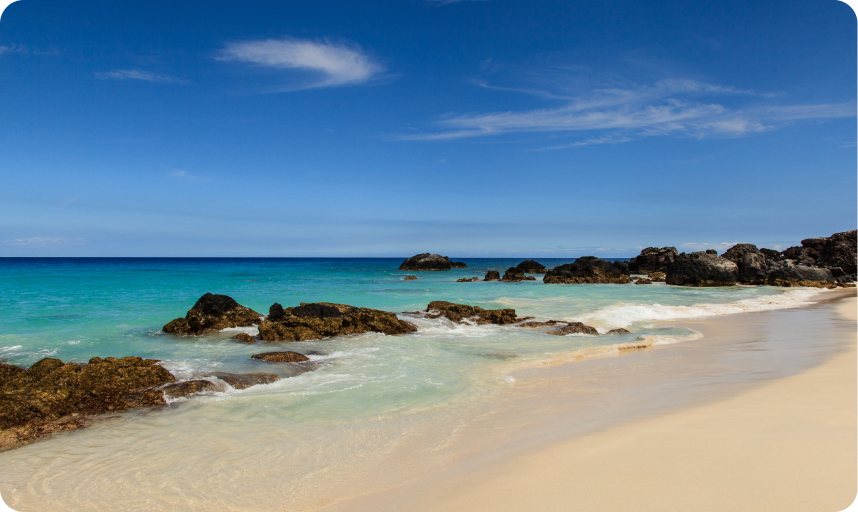 Monali's Walking Tour